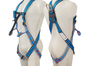 Arnes Zeus L X-Urban